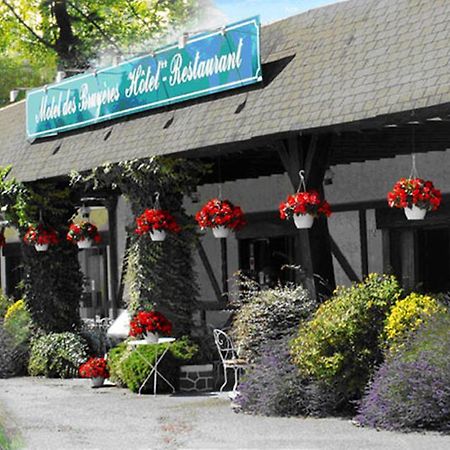 Motel Des Bruyeres Lamotte-Beuvron Exterior foto